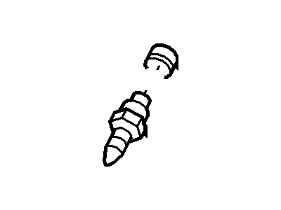 Ford Brake Bleeder Screw - 2R8Z-2208-AA