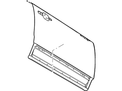 Ford AE9Z-7420201-A Panel Assembly - Door - Outer