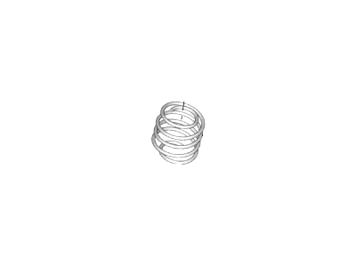 Ford DG9Z-5310-P Spring - Front