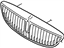 Ford XW4Z-8200-AG Grille - Radiator