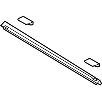 Ford FL3Z-99291A41-BA Moulding