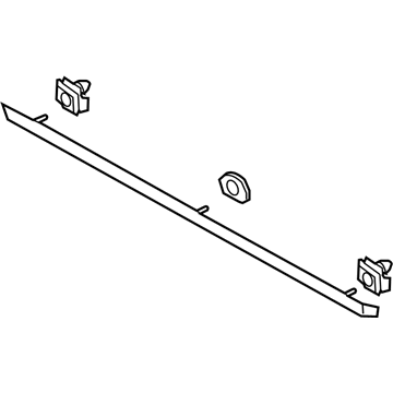 Ford DP5Z-5420878-AA Moulding - Door Outside