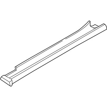 Ford DT1Z-5810176-AC Moulding