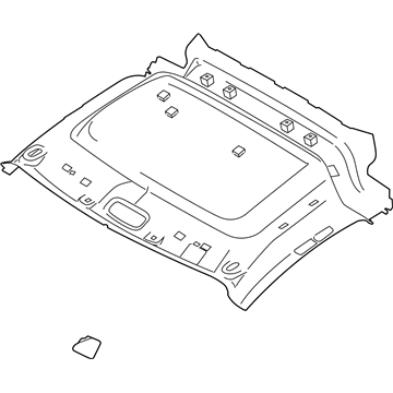 Ford DT1Z-6151916-AJ Panel Assembly - Roof Trim - Side F