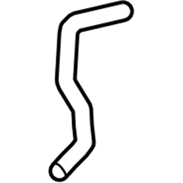 Ford F2GZ-8C289-D Hose Assembly