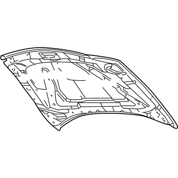 Ford 1W6Z-16612-AA Hood Assembly