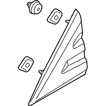 Ford CK4Z-16003-AB Moulding