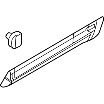 Ford AE9Z-7425557-A Moulding - Door Outside