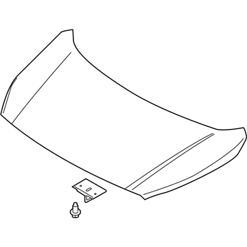 Ford DT1Z-16612-A Hood Assembly