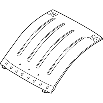 Ford CK4Z-6150202-N Panel Assembly - Roof