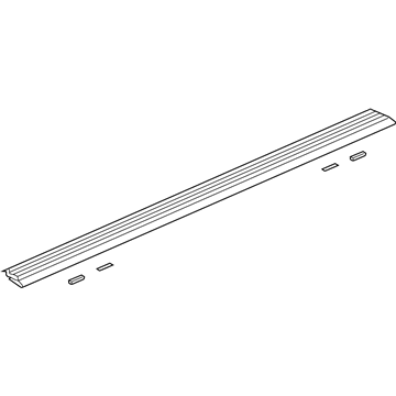 Ford JL1Z-16490-BAPTM Mat