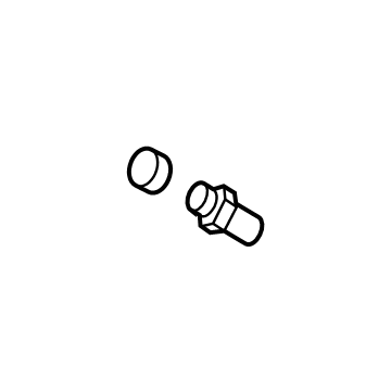 Ford Brake Bleeder Screw - DG9Z-2208-B