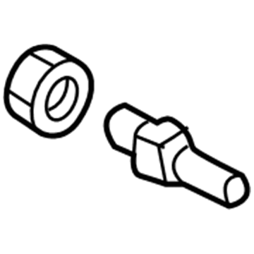 Ford Brake Bleeder Screw - DG9Z-2208-A