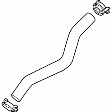2024 Ford Mustang Cooling Hose - PB5Z-8597-B