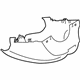 Ford CM5Z-3530-AD SHROUD ASY - STEERING COLUMN