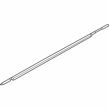 R2TZ-5825860-C Ford Door Belt Weatherstrip Illustration 1 of 1