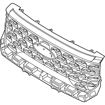 SZ6Z-8200-BA Ford Radiator Grille Illustration 1 of 1
