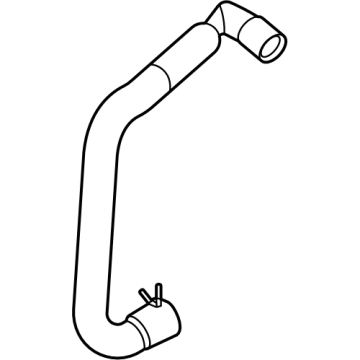 PZ1Z-8A577-F Ford Hose Assembly Illustration 1 of 1