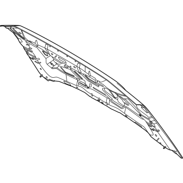 SL1Z-16612-A Ford Hood Assembly Illustration 1 of 1