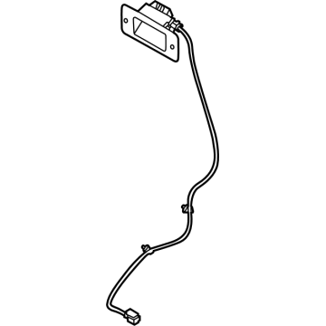 N1WZ-13A756-A Ford LAMP ASY - LUGGAGE COMPARTMENT Illustration 1 of 1