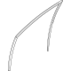 Ford N1WZ-6021597-D Door Glass Run