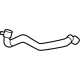 Ford P2GZ-8597-C Hose