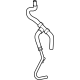 Ford P1MZ-8B081-C Hose
