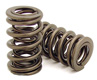 Rocker Shaft Spring Kit